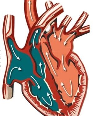 Understanding Vital Signs Medical Devices