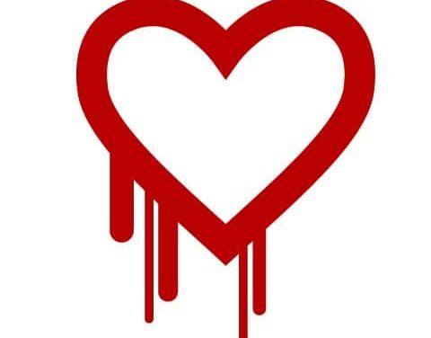 Why You Should Worry About the Heartbleed Bug