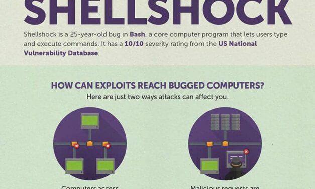 Shellshocked: Are You Prepared?