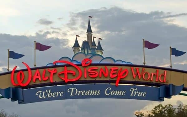 Focus On: The Florida Biomedical Society