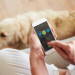 Healthcare Organizations Can Seize This Moment to Make Access More Equitable