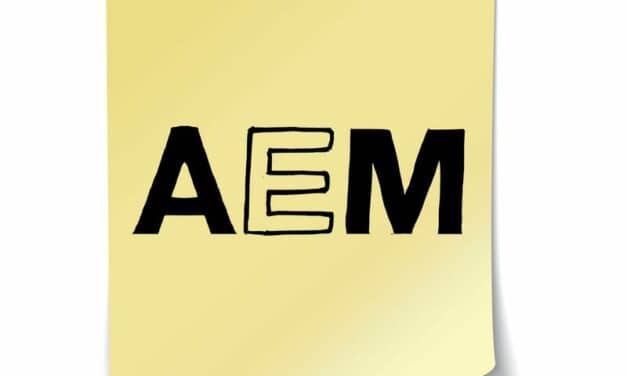 AEM Is Not for Saving Money!