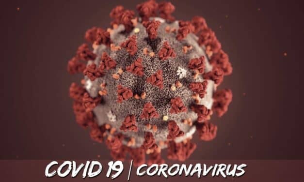 A View from the Epicenter of the COVID-19 Pandemic