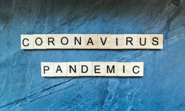 Reflections on a Pandemic
