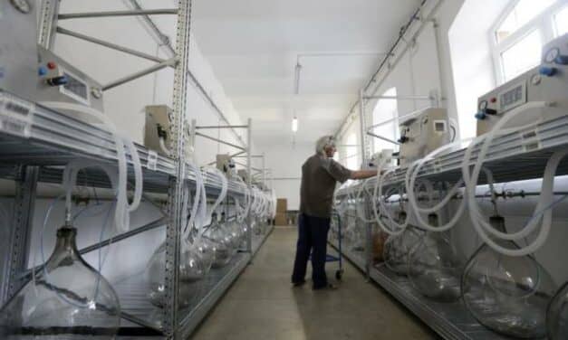 Czech Volunteers Develop Functioning Ventilator in Days