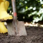 Digging for (Professional) Goals