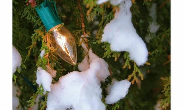 How a Biomed Repairs Holiday Lights