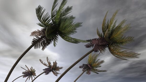Environmental Disasters