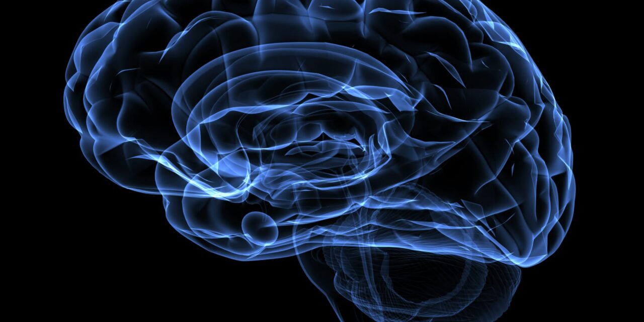 FDA Grants Breakthrough Status to SonoClear for Intracranial Ultrasound