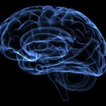 FDA Grants Breakthrough Status to SonoClear for Intracranial Ultrasound