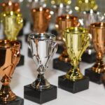 ASHE Names 2025 Chapter Award Recipients