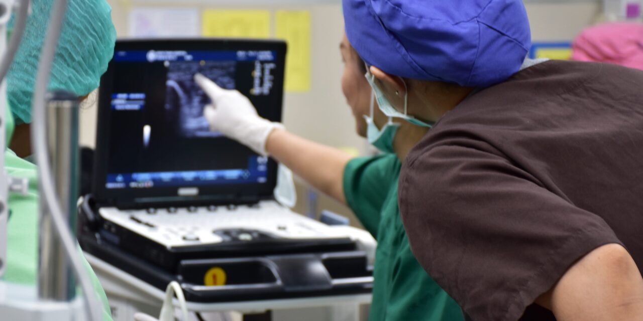 FDA Clears AI Software for Ultrasound-Guided Nerve Blocks