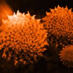 Siemens Healthineers Receives $83 Million to Advance Cancer Radiation Technology