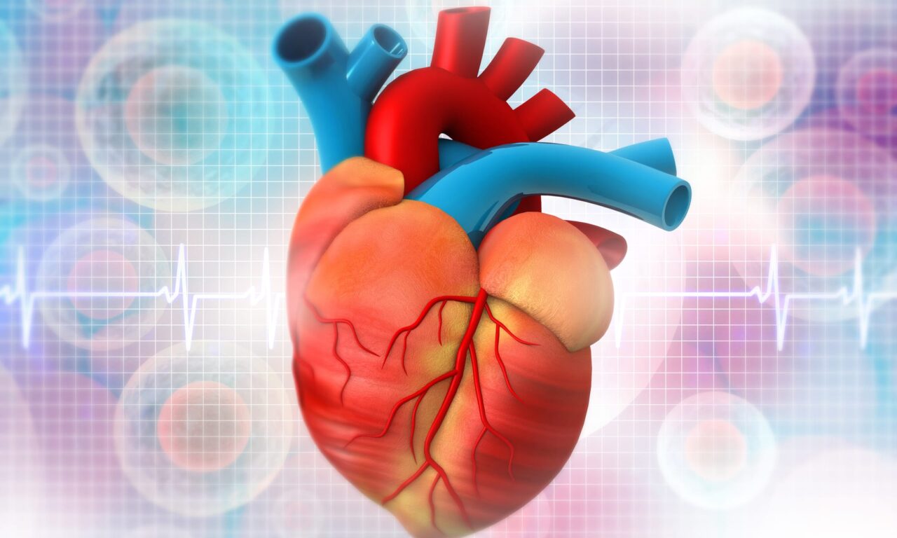 FDA Clears Hybrid Heart Imaging System