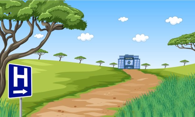 Same Expectations, Different Resources: The Reality of Rural Clinical-System Cybersecurity